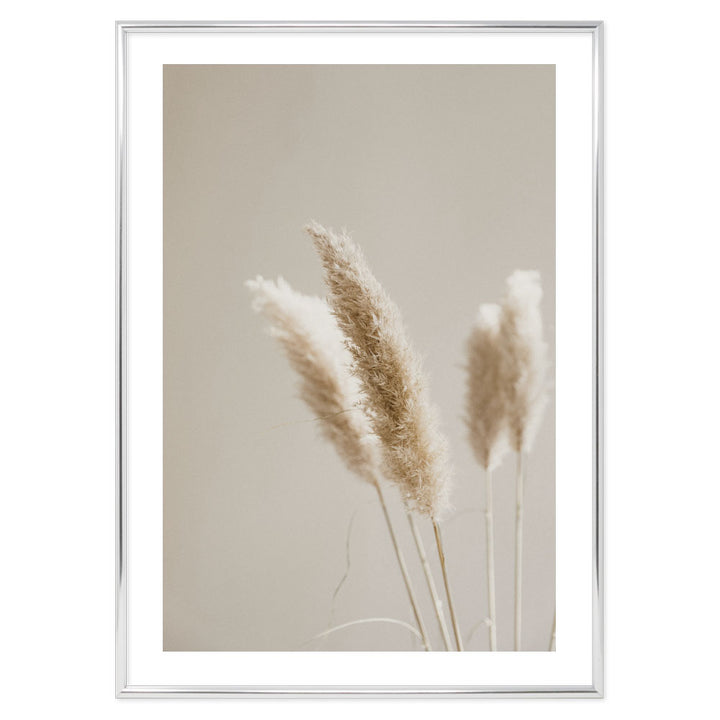 Poster Floreale Pampas