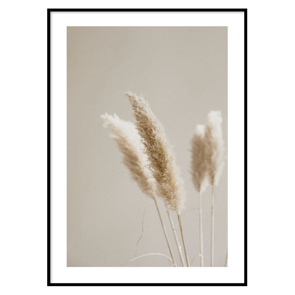 Poster Floreale Pampas