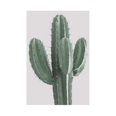 Poster Cactus
