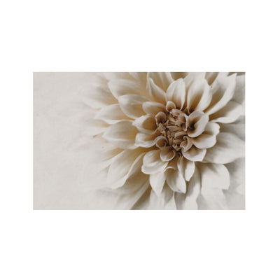 Poster dettaglio petali