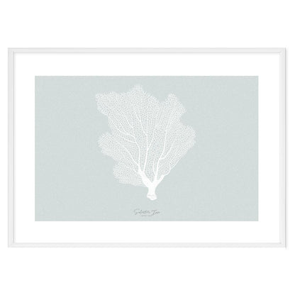 Poster Gorgonia
