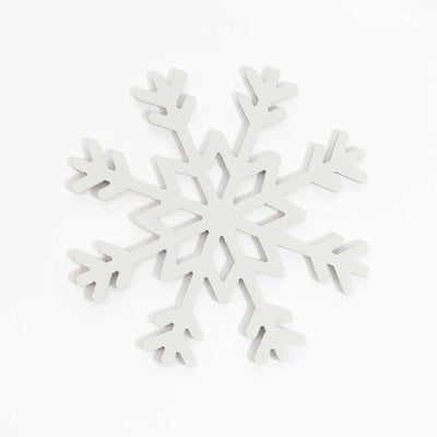 Snow (5891385884821)