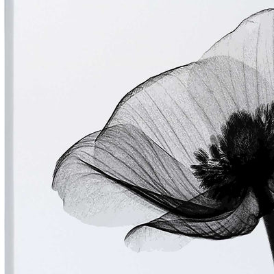 Love and Flowers (5891487465621)