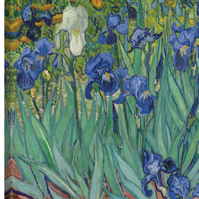 Iris (5891553886357)