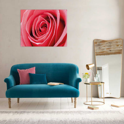 Morning Roses (5891371794581)