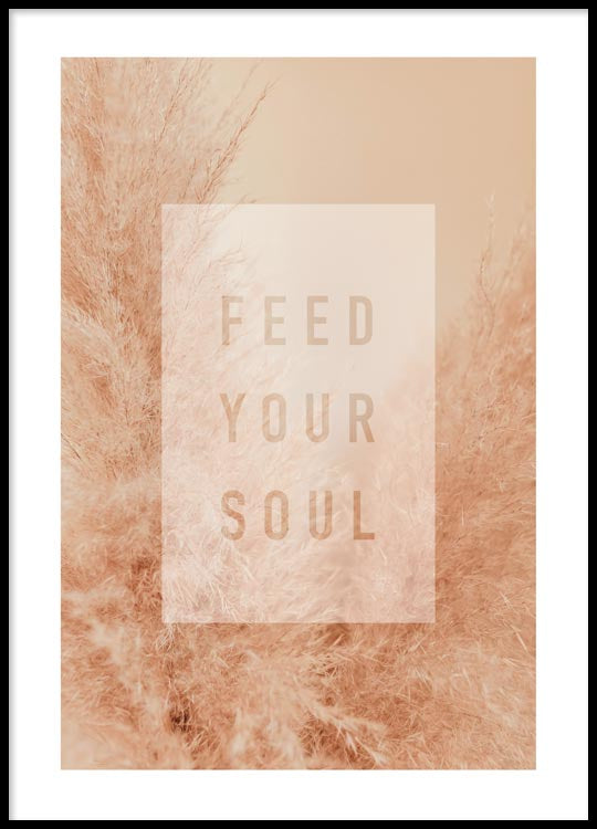 Feed your soul