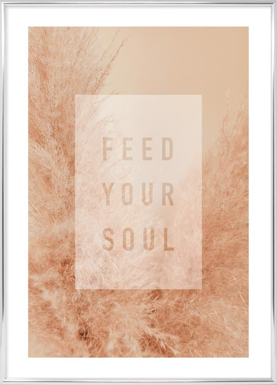 Feed your soul